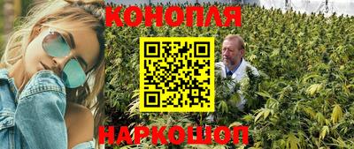 МДПВ Краснознаменск