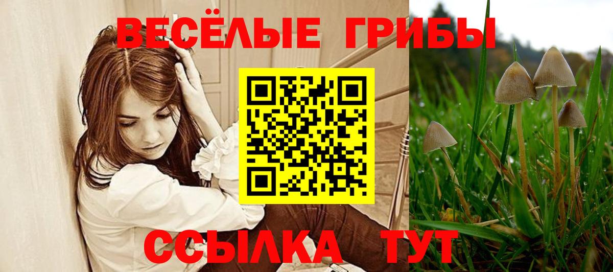 Псилоцибиновые грибы мицелий  Вход с VPN  Когалым  Псилоцибиновые грибы MAGIC MUSHROOMS 